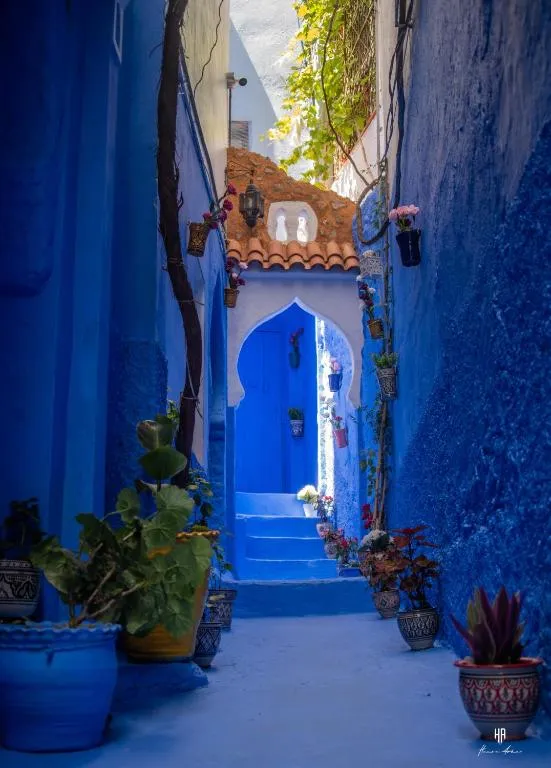 Casa Blue Star, photo 1