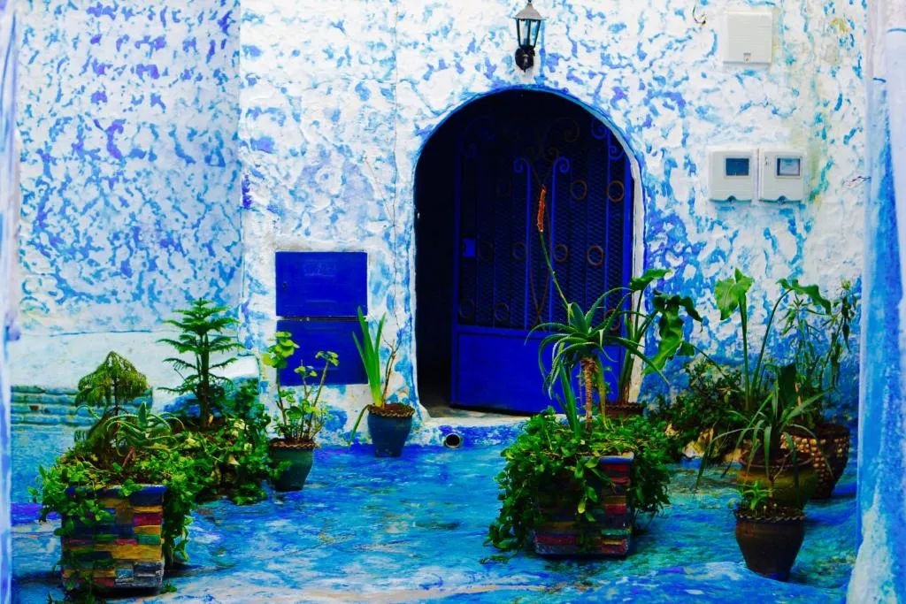 Casa Malek, photo 1