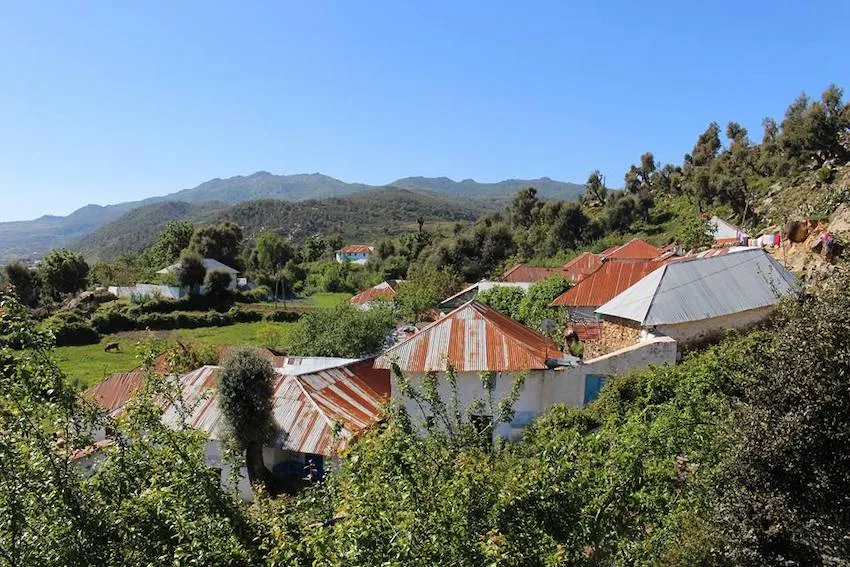 Parc naturel de Bouhachem
